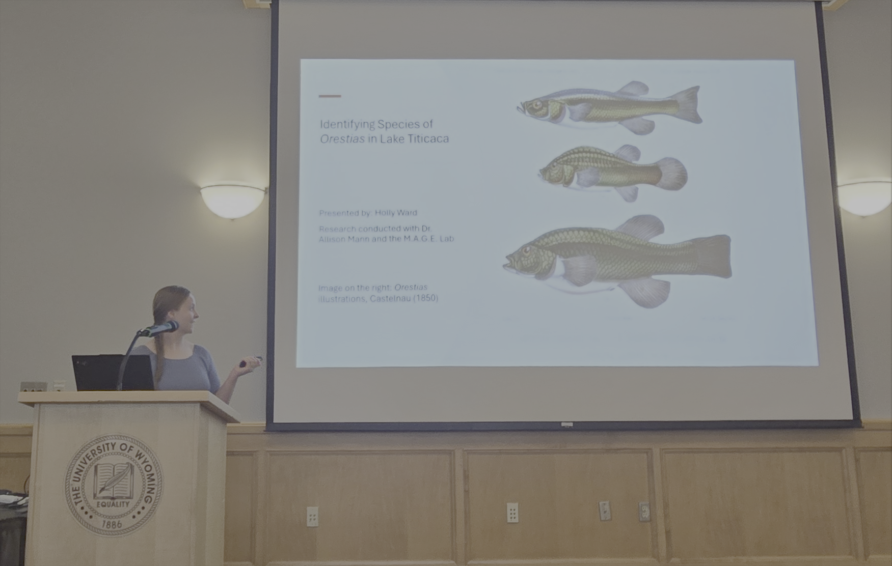 Holly presentation